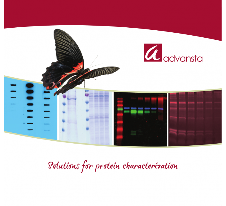 advansta-banner-neo
